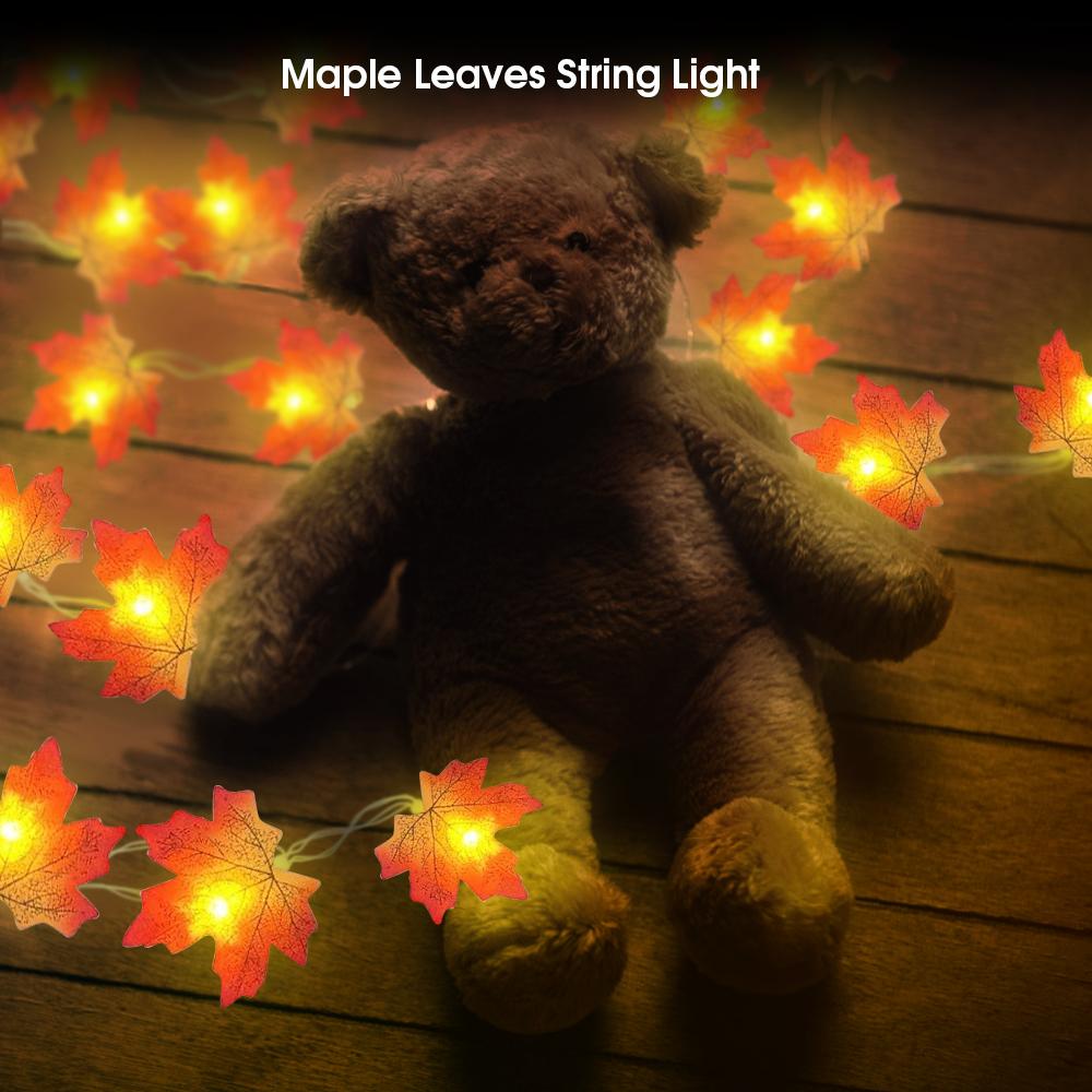 Warm Autumn Leaf Lights