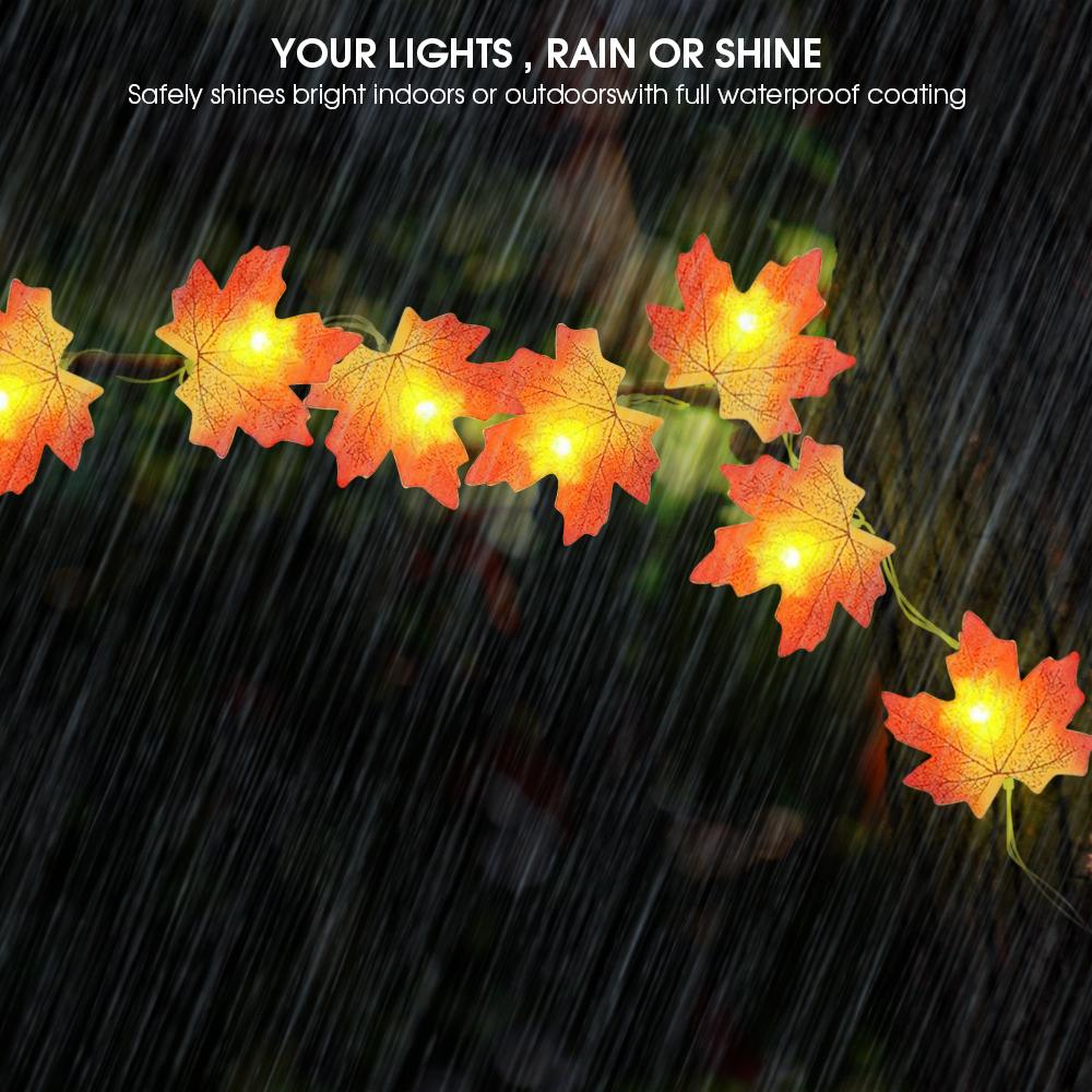 Warm Autumn Leaf Lights