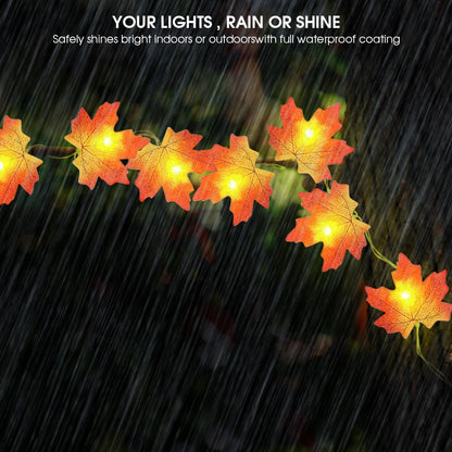 Warm Autumn Leaf Lights