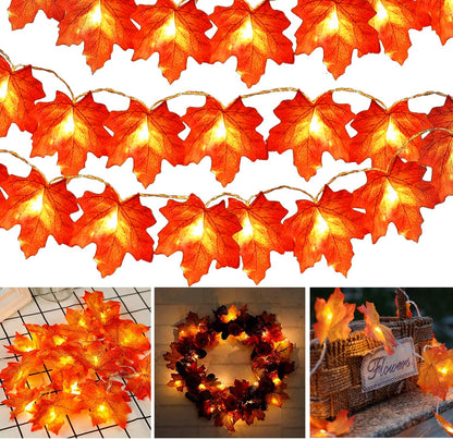Warm Autumn Leaf Lights